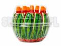 2694-zelki-watermelon-jelly.jpg